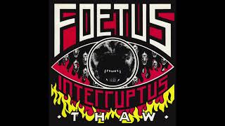 Foetus Interruptus - Thaw (Full album, HQ) 1988