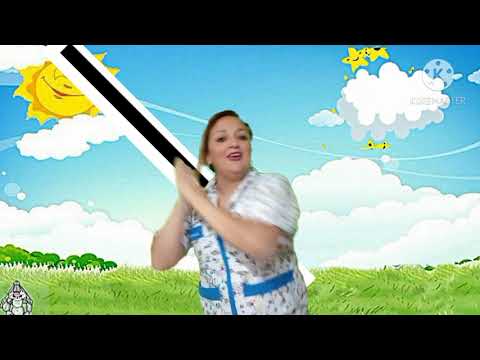 Viernes 15 el avión Minino