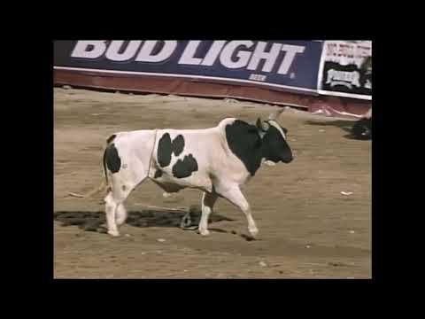 PBR 1999: Hopper II Literally Hooks Robey Condra
