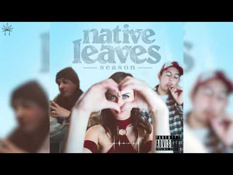 Native Leaves - Hit of You