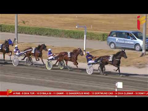 III Corsa del 9 Settembre 2023 - 4 Anni - Metri 1600