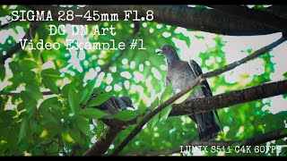 SIGMA 28-45mm 1.8 DG DN Art Video Example 手持ち動画作例 #1