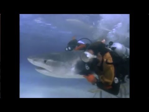 Gwen and Zoey's Adventures of Really Wild Animals (Episode 3; Part 6)