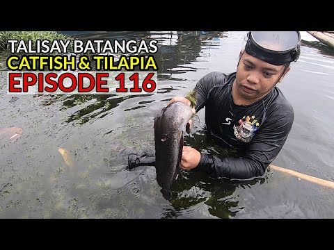 EP116 - Ang LALAKI ng HITO sa Talisay Batangas | Catch Cook & Eat