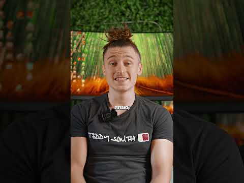 Le chien le mieux éduqué que tu verras aujourd’hui 🐶✨