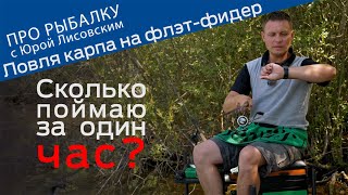Про рыбалку на завтракте