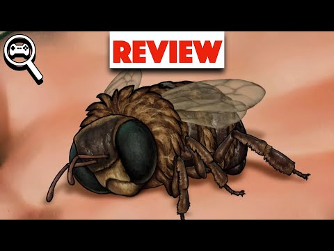 Bee Simulator Review [PS4 on PS5]
