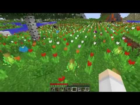 Bevo Tech Pack SSP - Ep 1 - Fields of Tulips