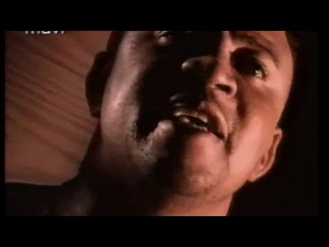 Compliments On Your Kiss cover