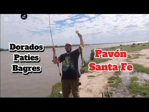 Tremendo Dorado y gigante Patí. Hermosa pesca con amigos. Pavón, Santa Fé.