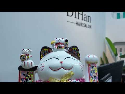Video 2