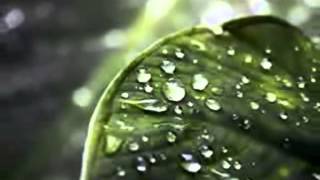 Kartagena Si pudiera Olvidarte .