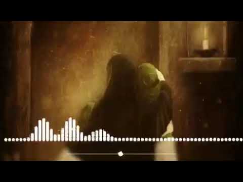 ⁣عن الزهراء عليها السلام اتحدث إليكم.. السيد هادي المدرسي 