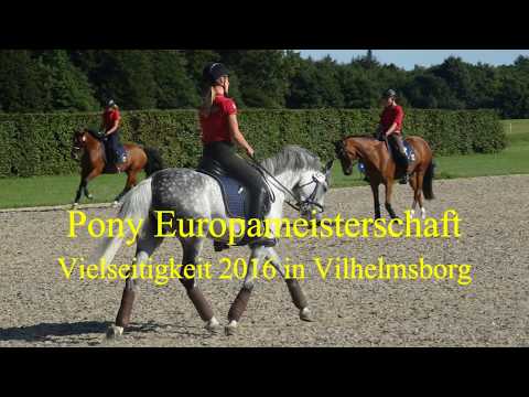 Pony EM 2016 Vielseitigkeit in Vilhelmsborg Anna Lena Schaaf und Pearl