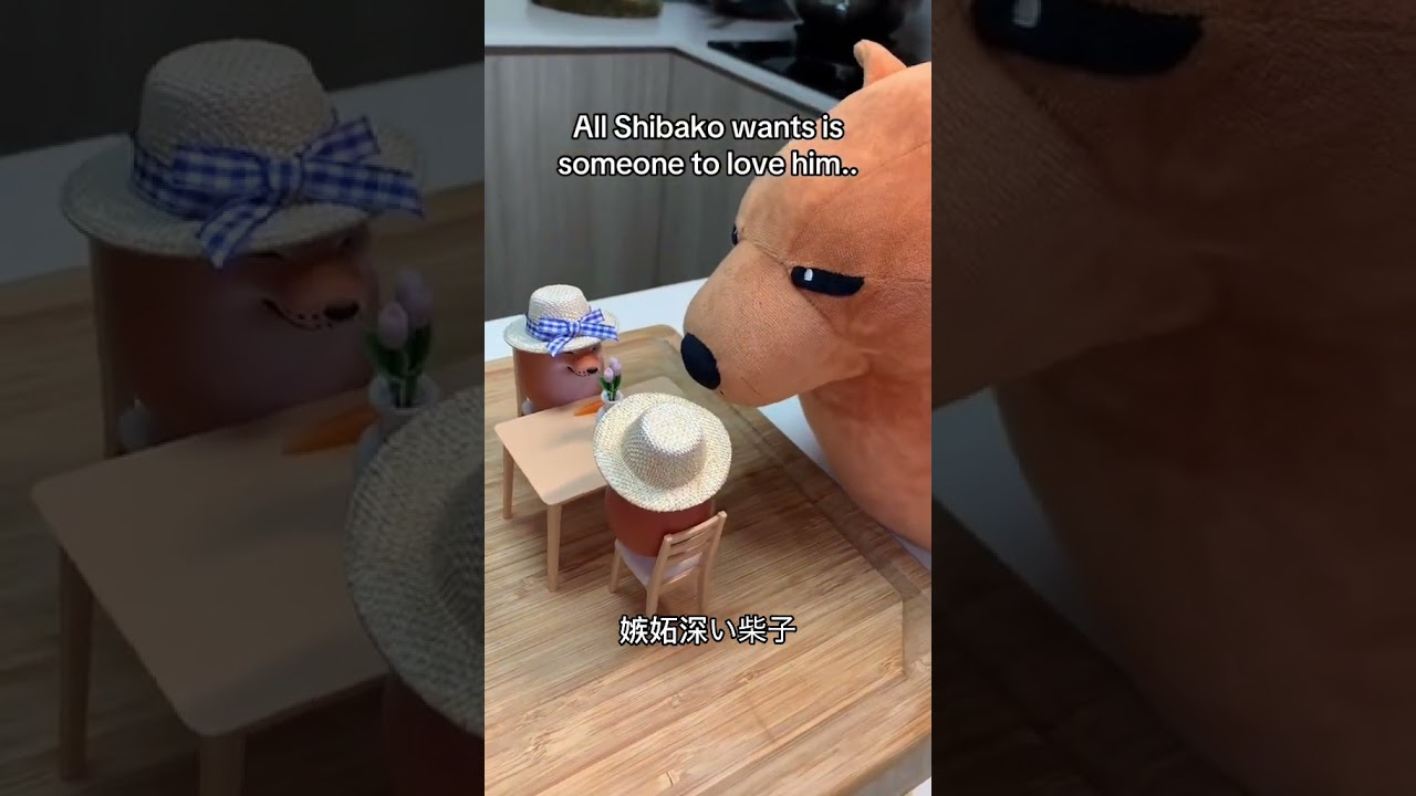 Shibako 🥲