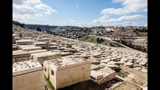 האם מותר לעלות לקבר בתוך השנה הראשונה▪️ הרב נחמנסון ▪️ (בית כנסת חב"ד כפר סבא) (הרב יהודה לייב נחמנסון) - התמונה מוצגת ישירות מתוך אתר האינטרנט יוטיוב. זכויות היוצרים בתמונה שייכות ליוצרה. קישור קרדיט למקור התוכן נמצא בתוך דף הסרטון