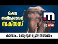Mission Arikkomban Mathrubhumi News Live HD Arikomban Malayalam News Live
