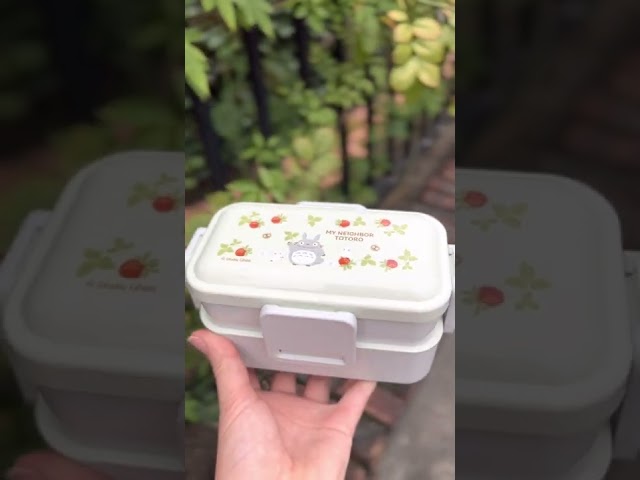 Vídeo relacionado con Skater KB7D-A - Bolsa Bento Box para niños con cordón, diseño de Totoro Ghibli