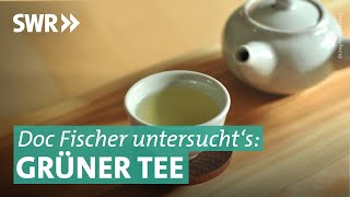 Grüner Tee – wie gesund ist er wirklich?| Doc Fischer SWR