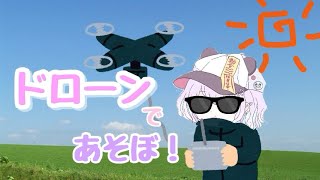 ドローンであそぼ！ホークで誰でも簡単50キル越え【CoDm】