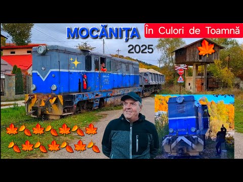MOCANITA IN CULORI DE TOAMNA 🍂 2025