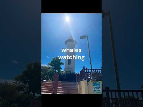 Rincon, Puerto Rico, The Light house, El faro