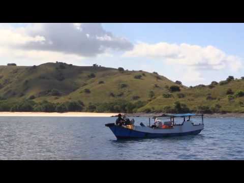 Dokumentární film Poslední království draků