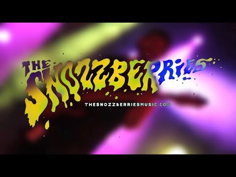 The Snozzberries (Asheville, NC) - Psychedelic Rock and Funk-Fusion