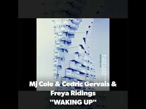 MJ Cole & Cedric Gervais & Freya Ridings _ WAKING link full 👇
