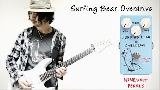 Ninevolt Pedals | Surfing Bear Overdrive (Animals Pedal)