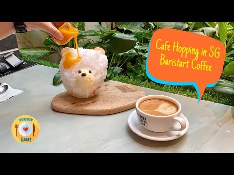 Cafe Vlog Japan Hokkaido Milk Latte & Shaved Ice / Japanese Dessert Cafe in Singapore