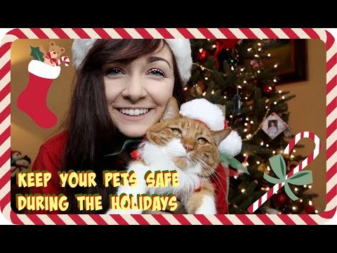TIPS TO KEEP YOUR PETS SAFE DURING THE HOLIDAYS!
