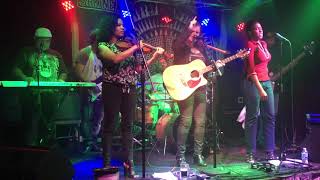 Sweet Little Bloodhound - The Shrine