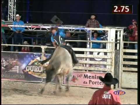 OURO FINO MELHOR DA NOITE DE SABADO 2017