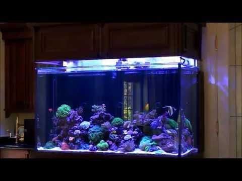 Don's High-Tech Custom Reef Tank