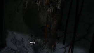 VRdeバイオRE:4 無限弾ならプロ武器商人縛り余裕のはず #5