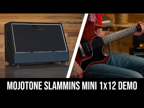 Mojotone Slammins 1x12 Extension Cabinet LOADED w/ Mojotone BV-30 V image 3