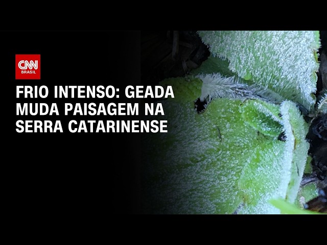 Geada muda paisagem na Serra Catarinense | LIVE CNN