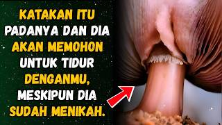 Download lagu Hanya 1% Pria Tahu! 8 Kata yang Membuat Wanita Tertarik mp3