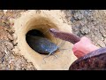 Unbelievable Fishing Technique Use A Snake To Catch Fish In Underground Hole