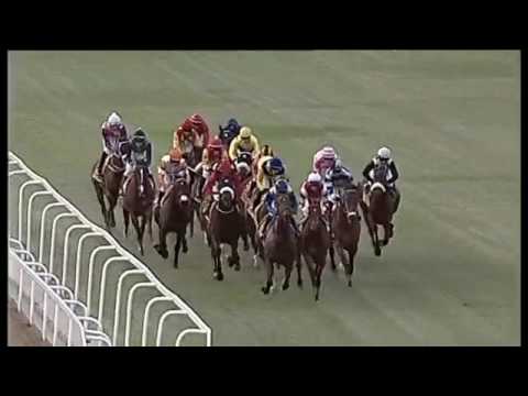 2017.07.30 eLAN Gold Cup (RSA) - Hermoso Mundo