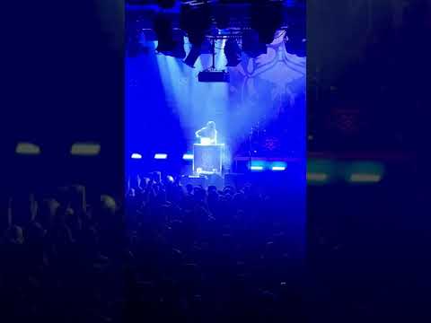 It's All For Rock N' Roll