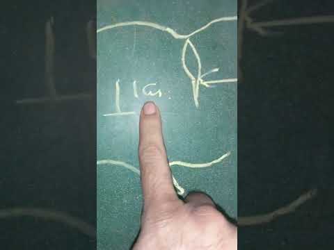 Crista and landmarks SMBT