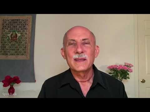 Loving Witness Dharma Talk — Jack Kornfield