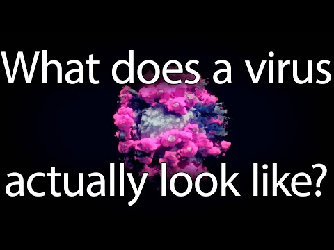 Youtube video image