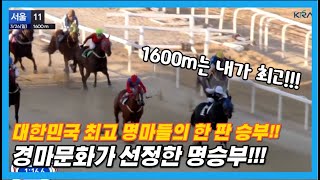 한 주를 빛낸 경마 명승부!! 1600m 최강마는 누구!?
