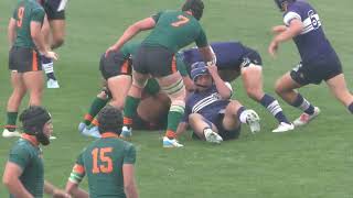 2026年高校選抜ラグビー大会　決勝戦　桐蔭学園VS東福岡　前半
