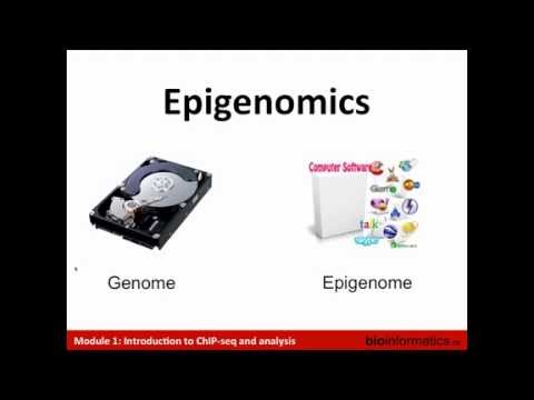 Introduction to ChIP Sequencing and Analysis