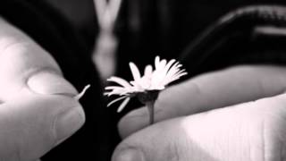 Farin Urlaub - Phänomenal Egal HD