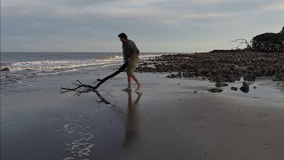 The Story of Driftwood Dan